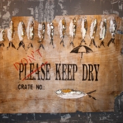 DON´T KEEP DRY